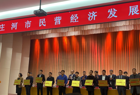 大連華韓榮獲民營經濟納稅、民營經濟科研投入20強2個獎項